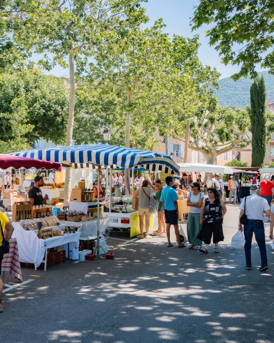 Fête de l'olive piquée & des vins du terroir