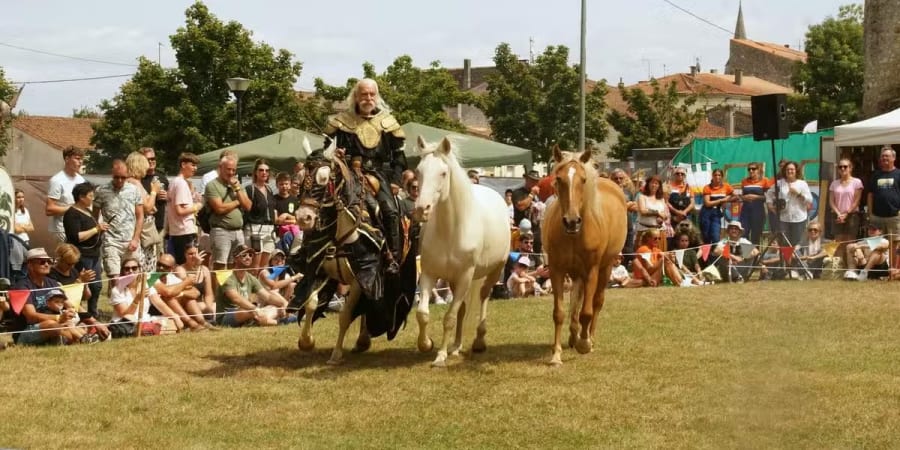 Fête Médiévale de l'Abbaye de Sablonceaux 3ème édition