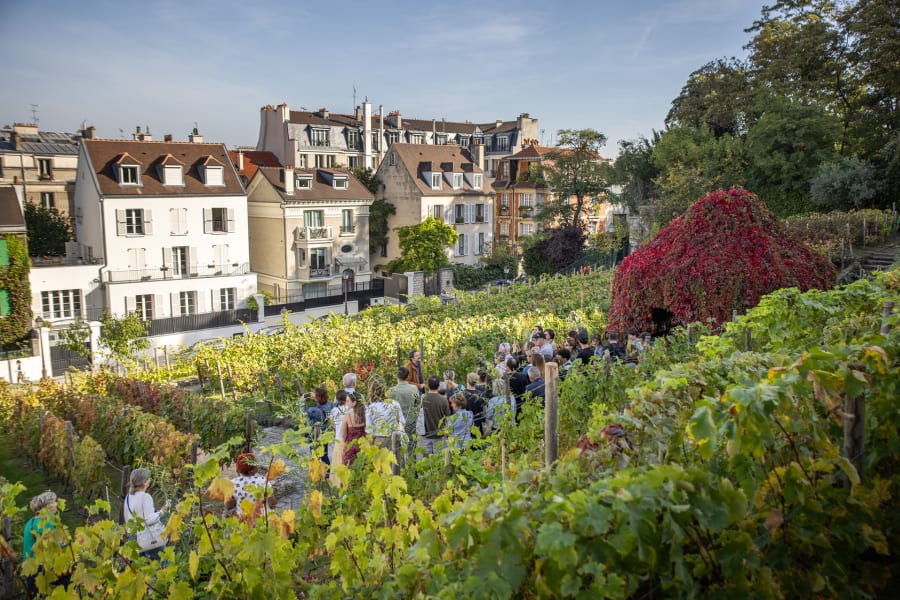 Fête des Vendanges de Montmartre