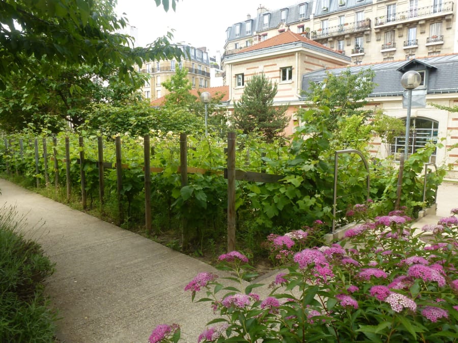 Fête des Vendanges de Montmartre