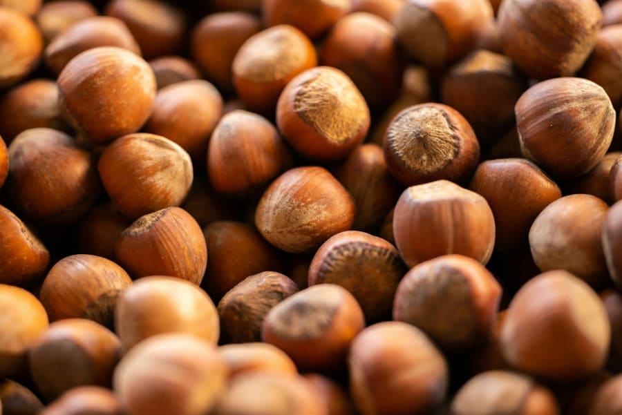 Fête de la noisette et des saveurs d'automne - 18ème édition