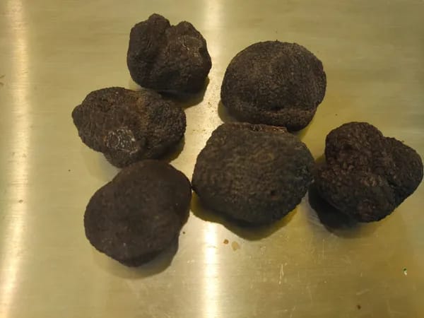 Marché de Noël et Fête de la Truffe