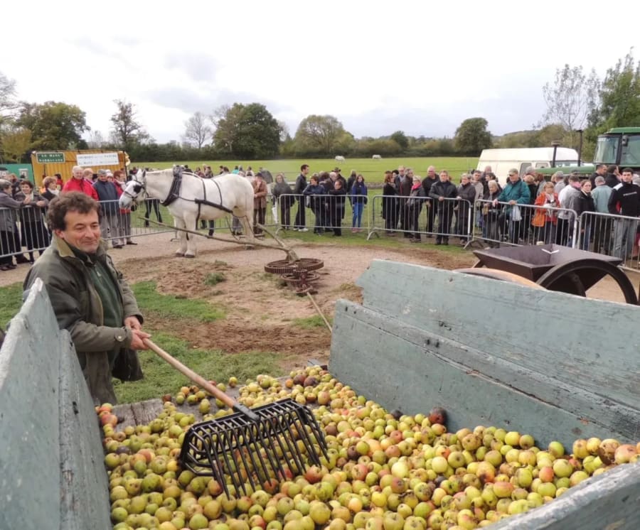 Fête de la pomme et des saveurs d'automne