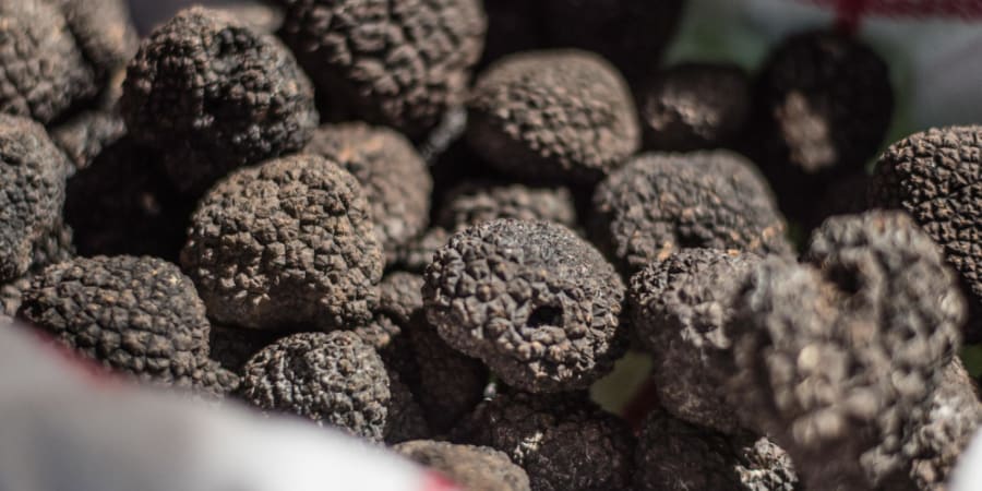Fête de la Truffe