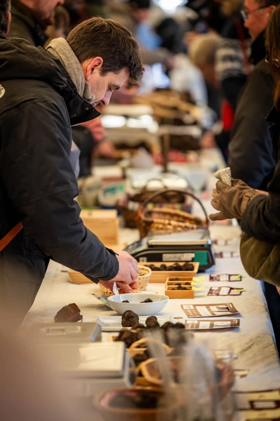 Fête de la Truffe