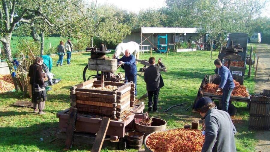 Fête de l'arbre et du cidre