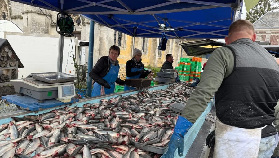 Foire aux harengs