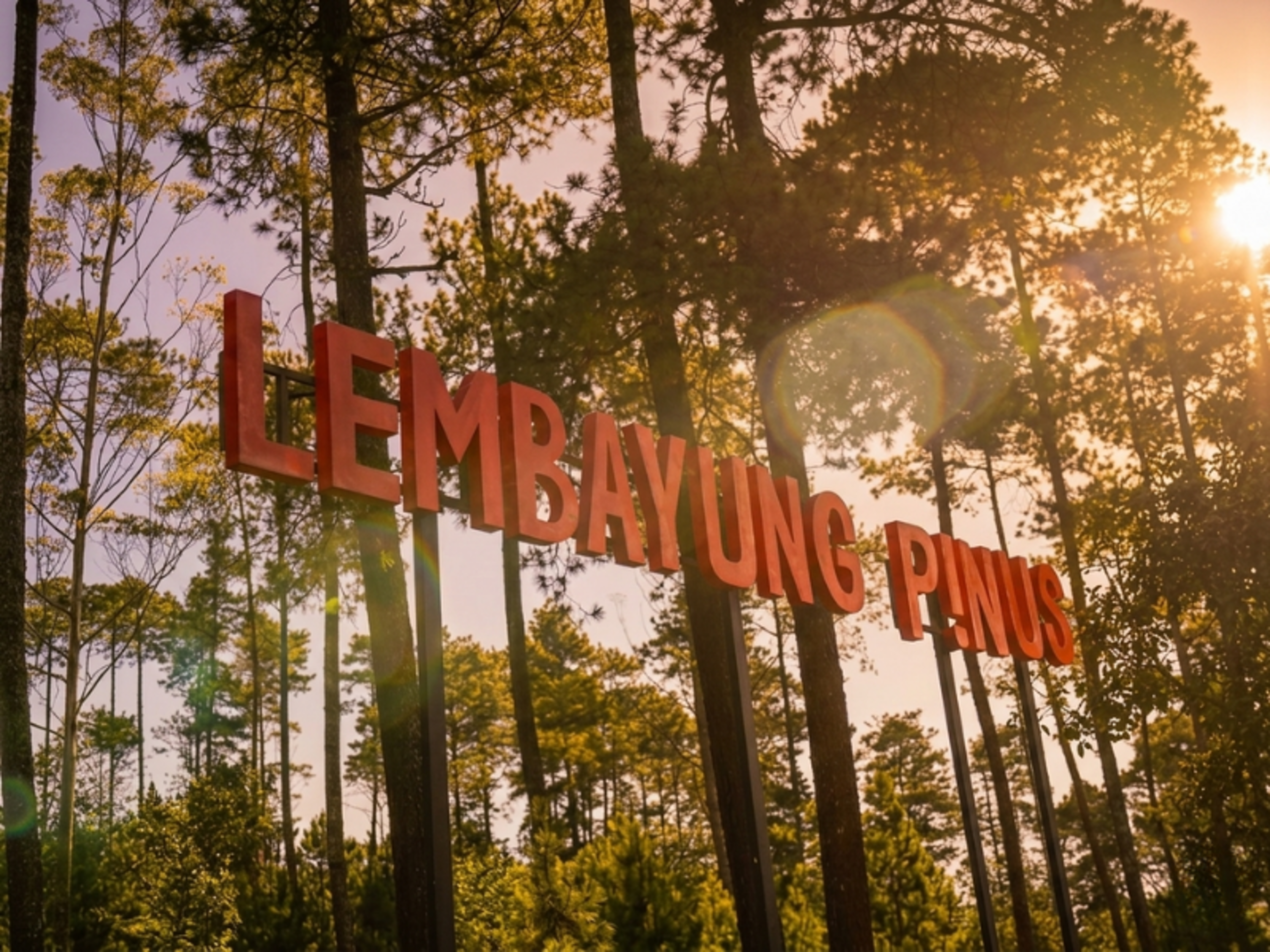 Lembayung Pinus Ground