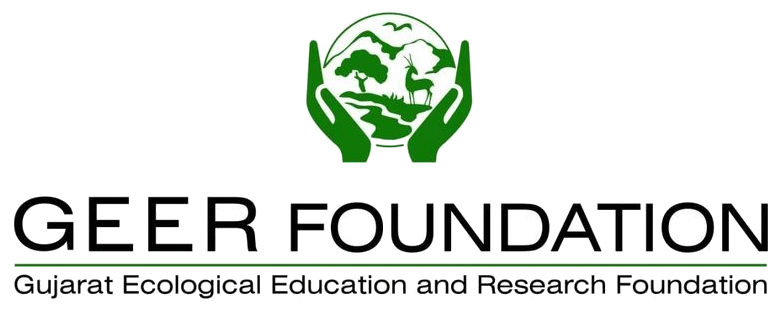GEER Foundation