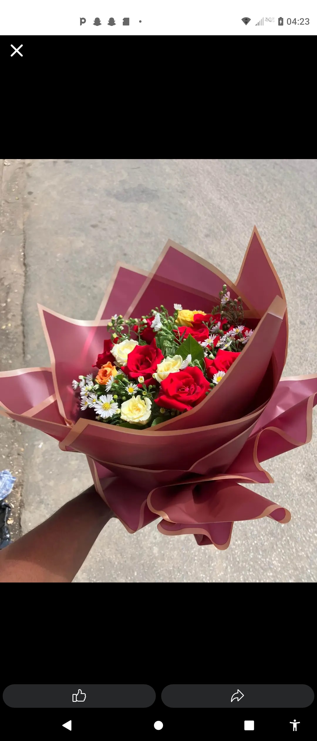 Magnifique bouquet de roses rouges fraîches