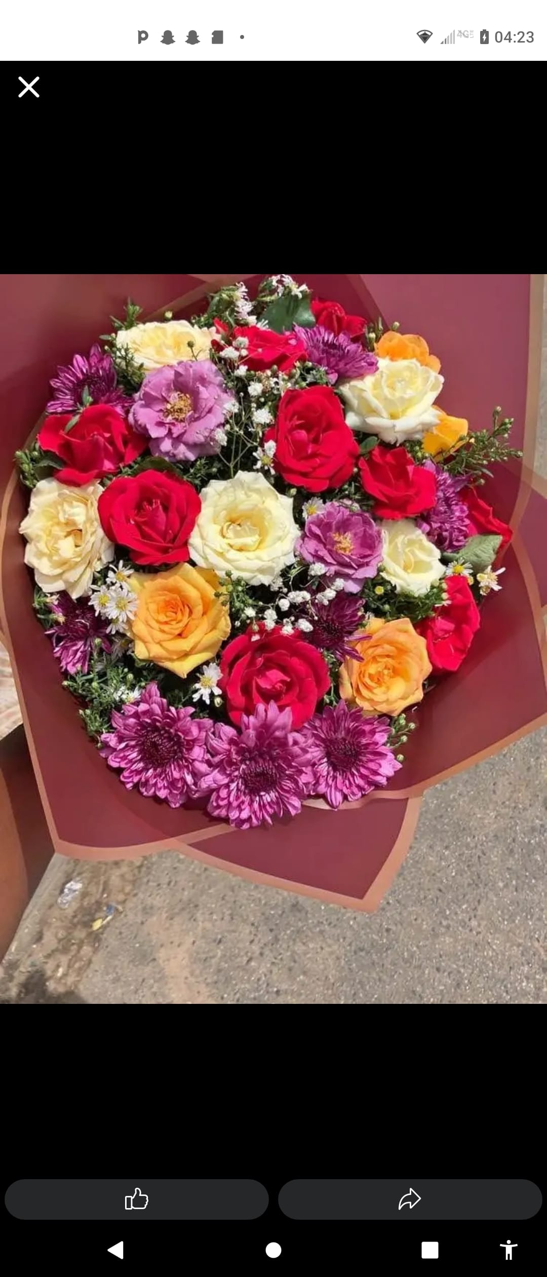 Magnifique bouquet de roses rouges fraîches