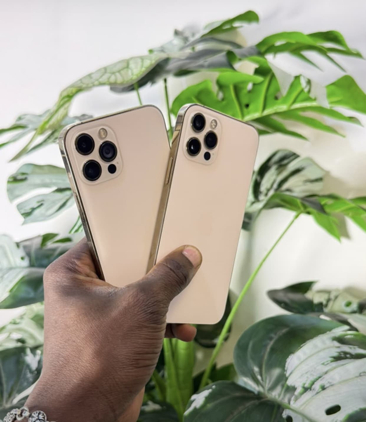 iPhone 12 Pro et iPhone 12 Pro Max - Beige/Gold