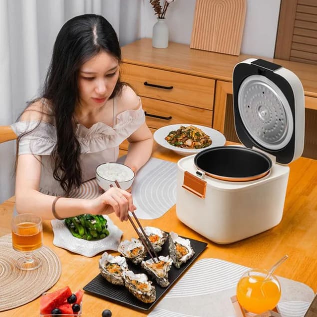 Cuiseur à riz multifonction avec vapeur Chuan - Neuf