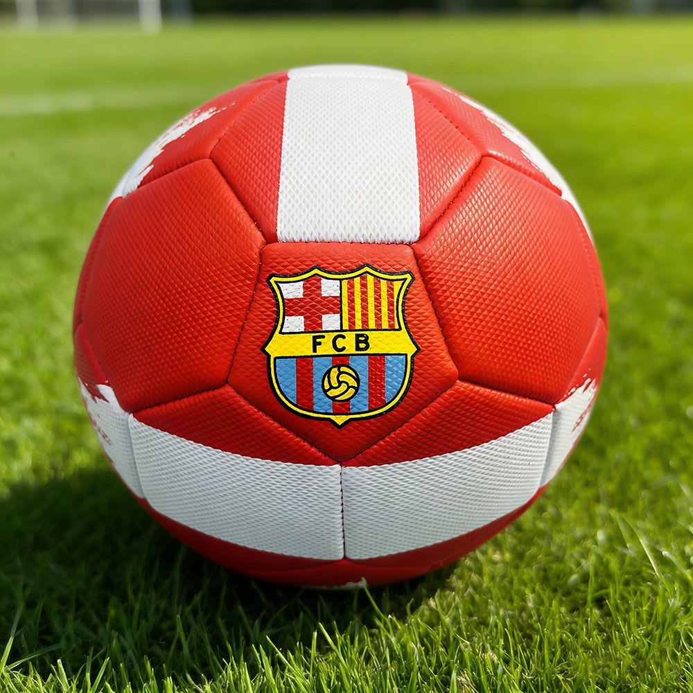 Lot de 4 ballons de football - Designs variés