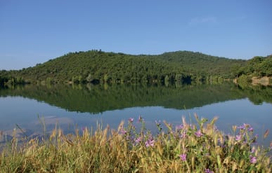 vacances-montagne-campagne-ete.jpg