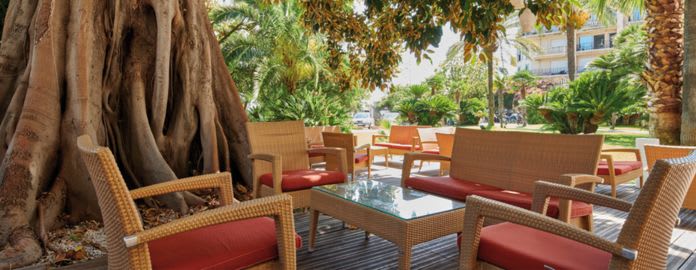 Terrasse extérieure dans un jardin sous un grand arbre - Royal Westminster - Menton