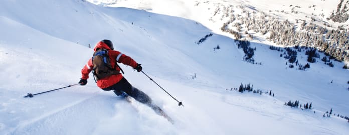 Ski