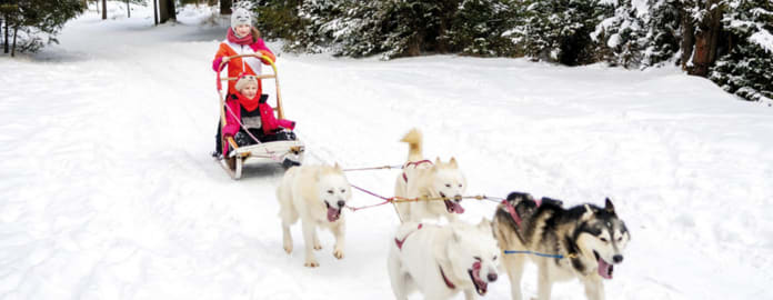 Enfants tirés par des chiens de traîneau dans la neige - Vacances Bleues