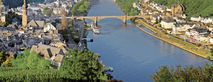 Rhin.jpg
