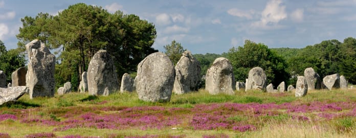 Mégalithes bretonnes sous un ciel bleu entourées de petites fleurs violettes - Club*** Keravel - Erdeven