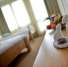 Hotel eden des cimes belle plagne