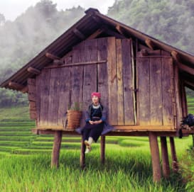 VietnamN_353x350_Hebergement.jpg