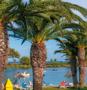 Bons plans : hyères - Plein sud 13