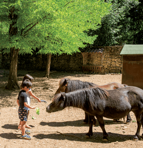 Ferme pédagogique - Domaine de Château Laval - Vacances Bleues