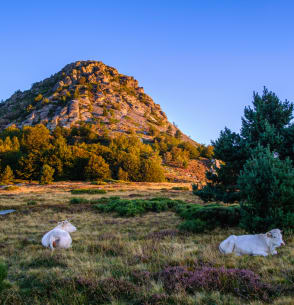 Le Geoparc des Monts d'Ardèche