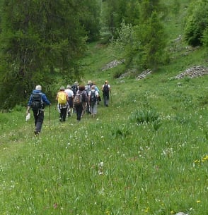 Marche nordique - club horizons du lac - chorges - vacances bleues