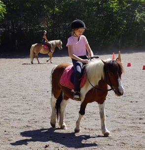Centre équestre - Gréoux-les-Bains