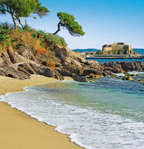 Bons plans : hyères - Plein sud