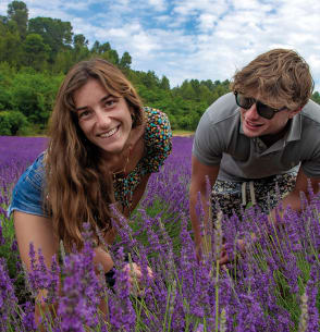 Lavande - Chateau laval - Vacances Bleues