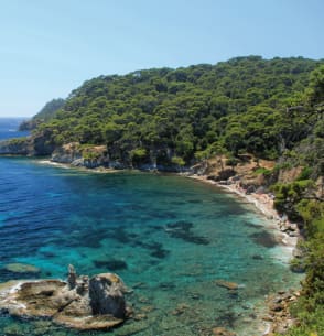 Bons plans : hyères - Plein sud