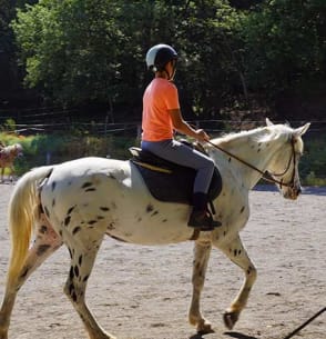 Centre équestre - Gréoux-les-Bains