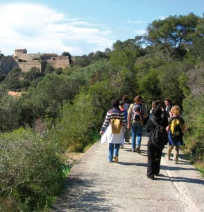 Bons plans : hyères - Plein sud