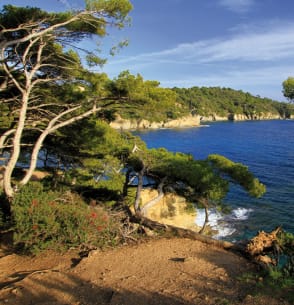 Bons plans : hyères - Plein sud