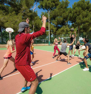 Basket