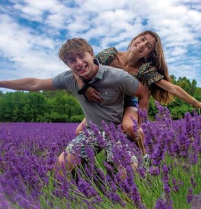Champs de lavande - Gréoux-les-Bains