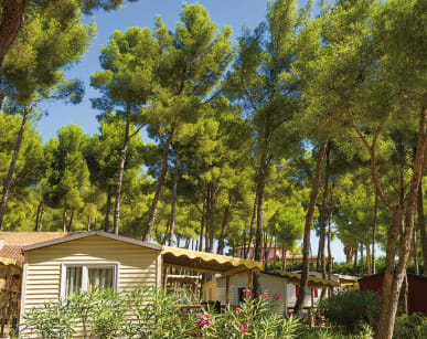 Mobil-home au Club*** Les Dauphins