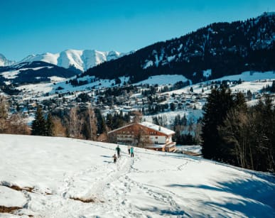 Vacances d'hiver à l'hôtel les Chalets du Prariand