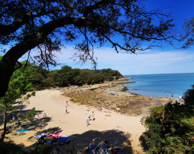 plage sur l'ile d'oleron
