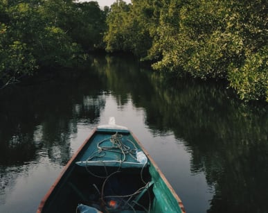 kayak-senegal2000x1333.jpg