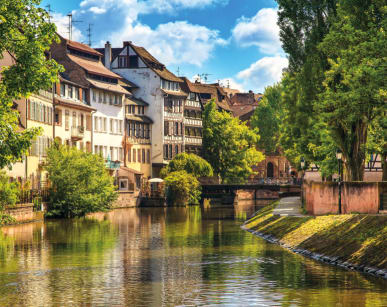 Rhin2_919x613.jpg