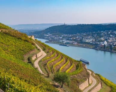 Rhin4_919x613.jpg