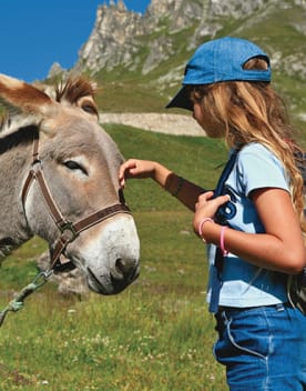 PULK_386x508_Enf.jpg