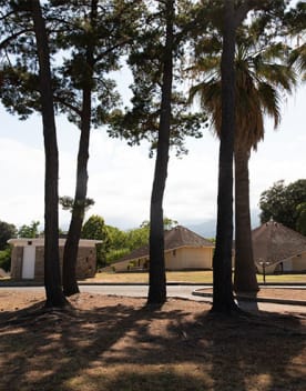 taglio-bungalows-allee-386px.jpg