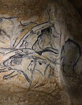 Grotte chauvet
