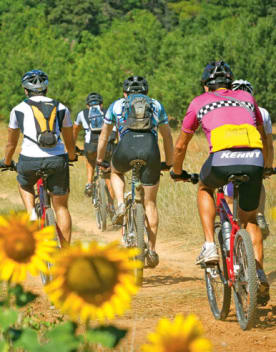 Cyclotourisme en Provence