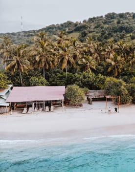 plage et palmiers - Vivez une expérience « nature » à nulle autre pareille